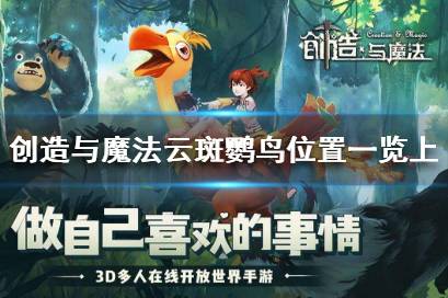 《创造与魔法》云斑鹦鸟在哪里找 创造与魔法云斑鹦鸟位置一览上