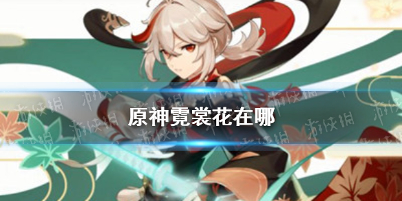 攻略网1