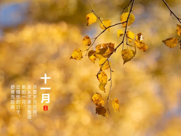 攻略网5