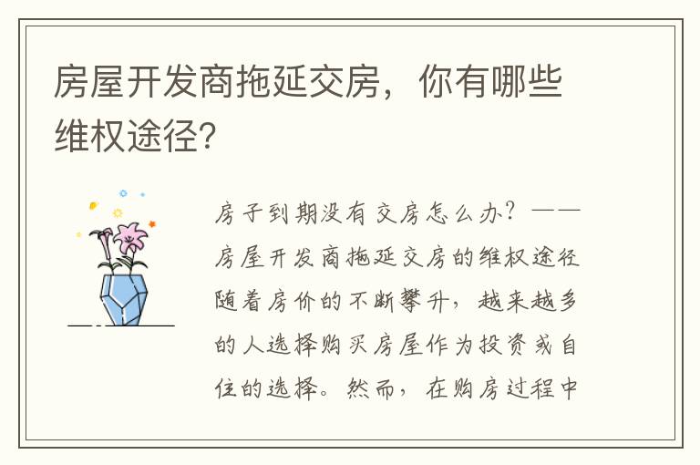 房屋开发商拖延交房，你有哪些维权途径？