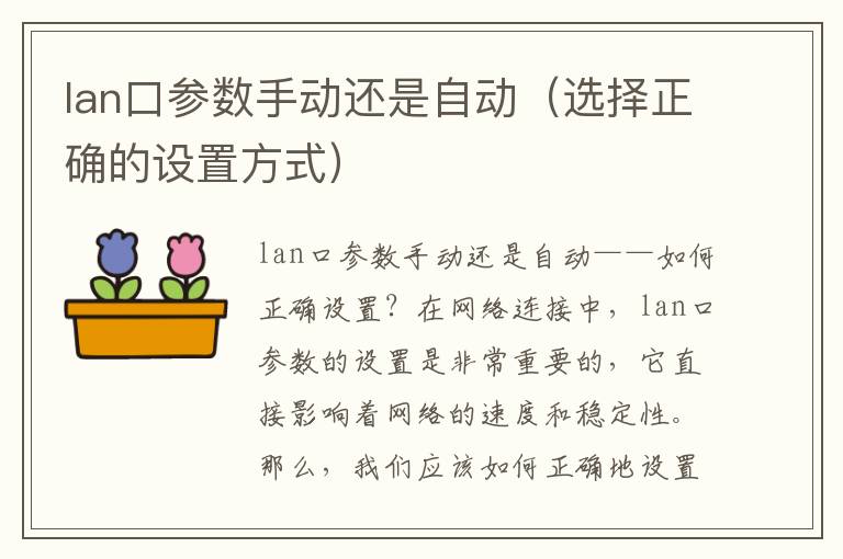 lan口参数手动还是自动（选择正确的设置方式）