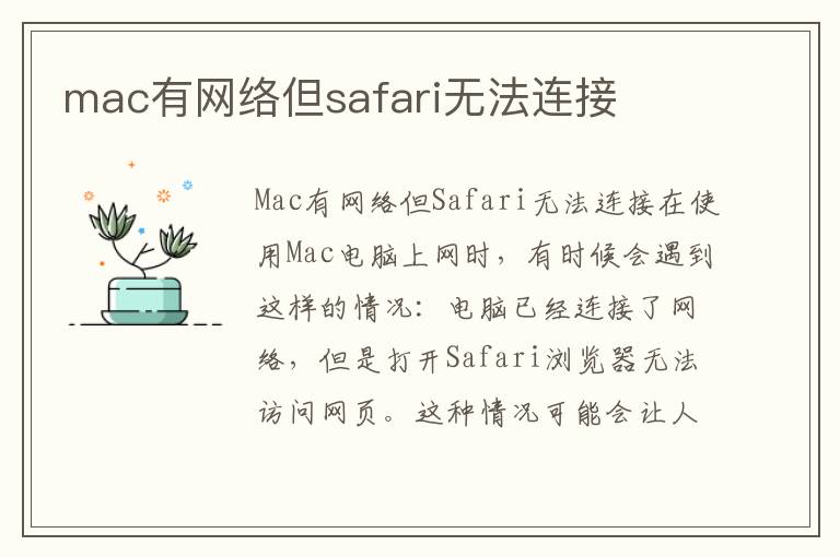 mac有网络但safari无法连接