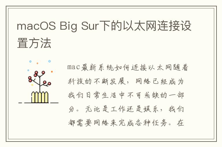 macOS Big Sur下的以太网连接设置方法