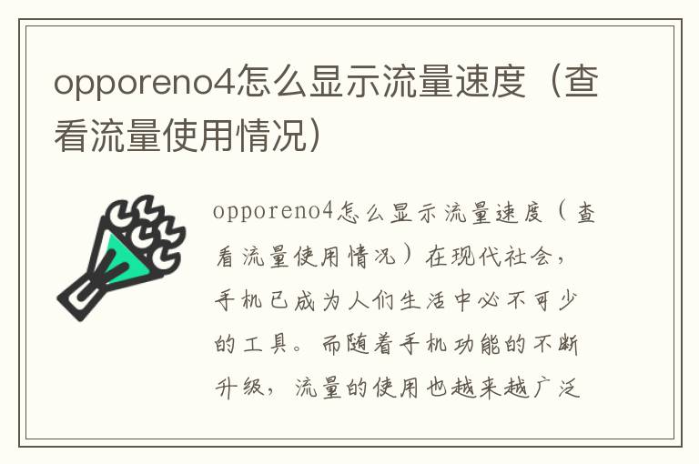 opporeno4怎么显示流量速度（查看流量使用情况）