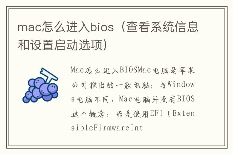 mac怎么进入bios（查看系统信息和设置启动选项）