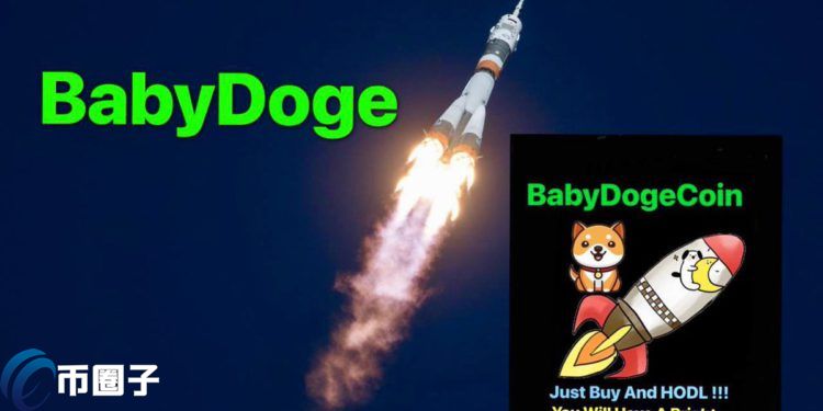 逆市暴涨马斯克加持的Baby Doge过去24小时涨逾50%